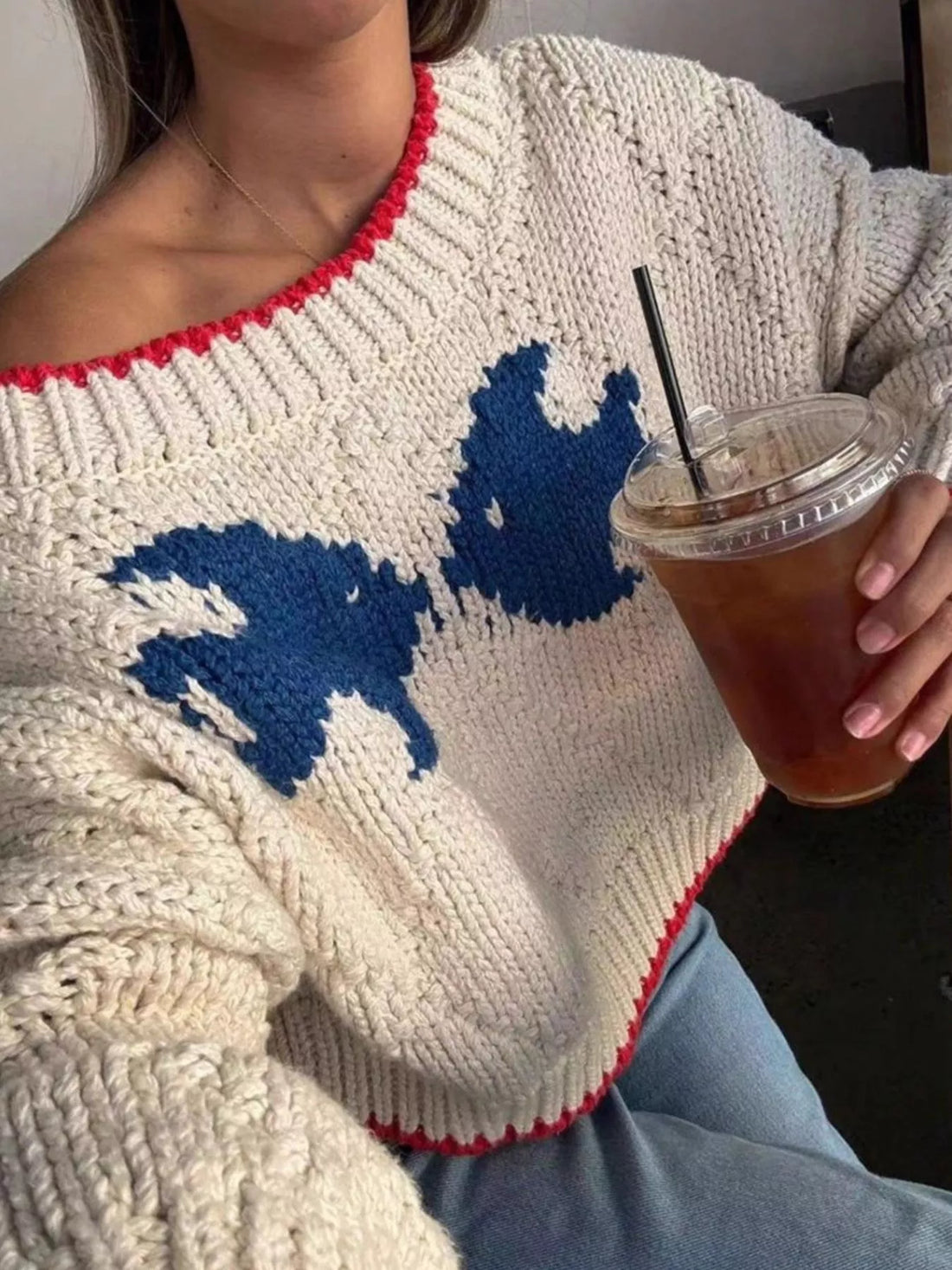 Fish Contrast Trim Round Neck Sweater - cas7m